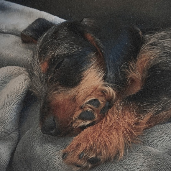 MEET ME π¦ - Picture 2 of 5